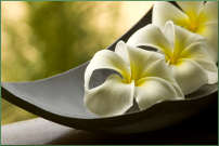 An Image Slideshow